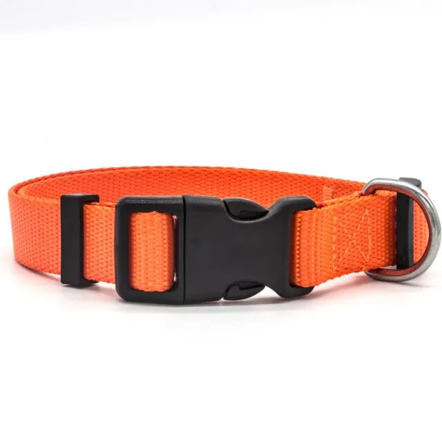 Adjustable Padded Collar Soft Durable