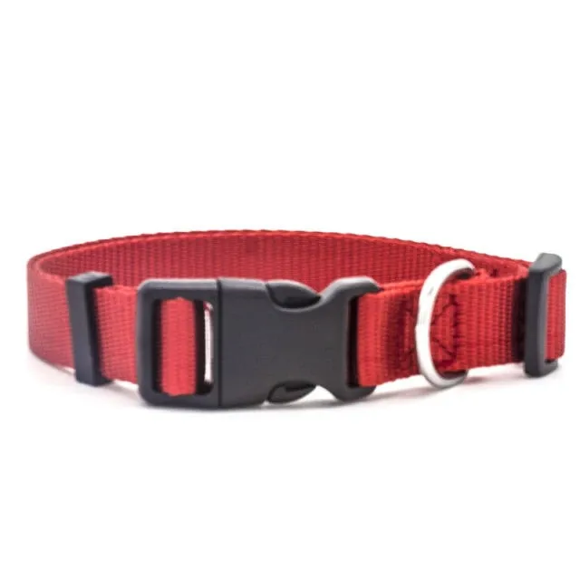 Adjustable Padded Collar Soft Durable
