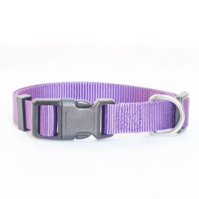 Adjustable Padded Collar Soft Durable
