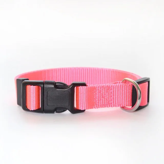 Adjustable Padded Collar Soft Durable