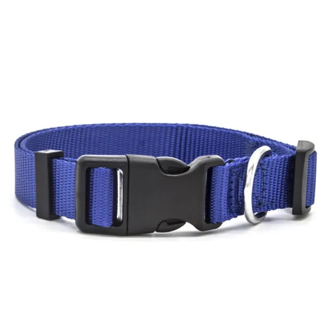 Adjustable Padded Collar Soft Durable