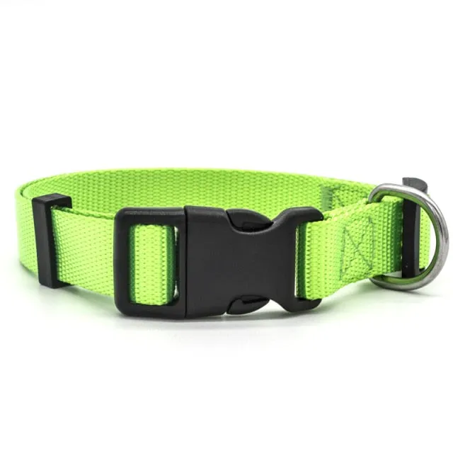 Adjustable Padded Collar Soft Durable