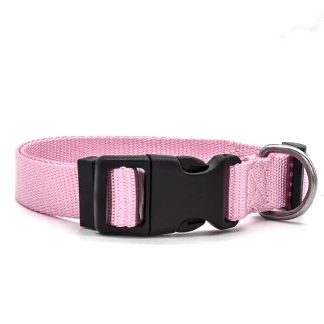 Adjustable Padded Collar Soft Durable