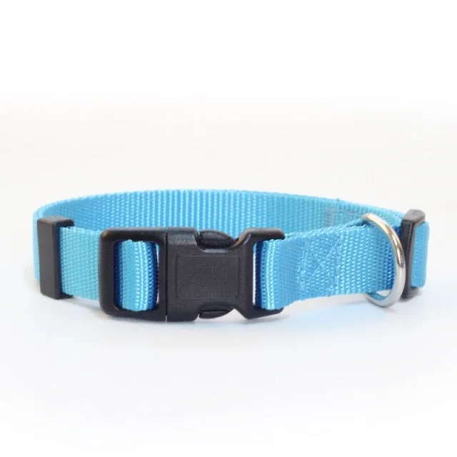 Adjustable Padded Collar Soft Durable