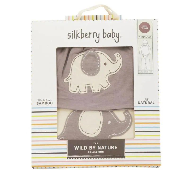 Bamboo Baby Gift Set