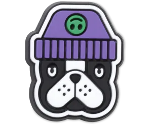 Cool Pup With Beanie