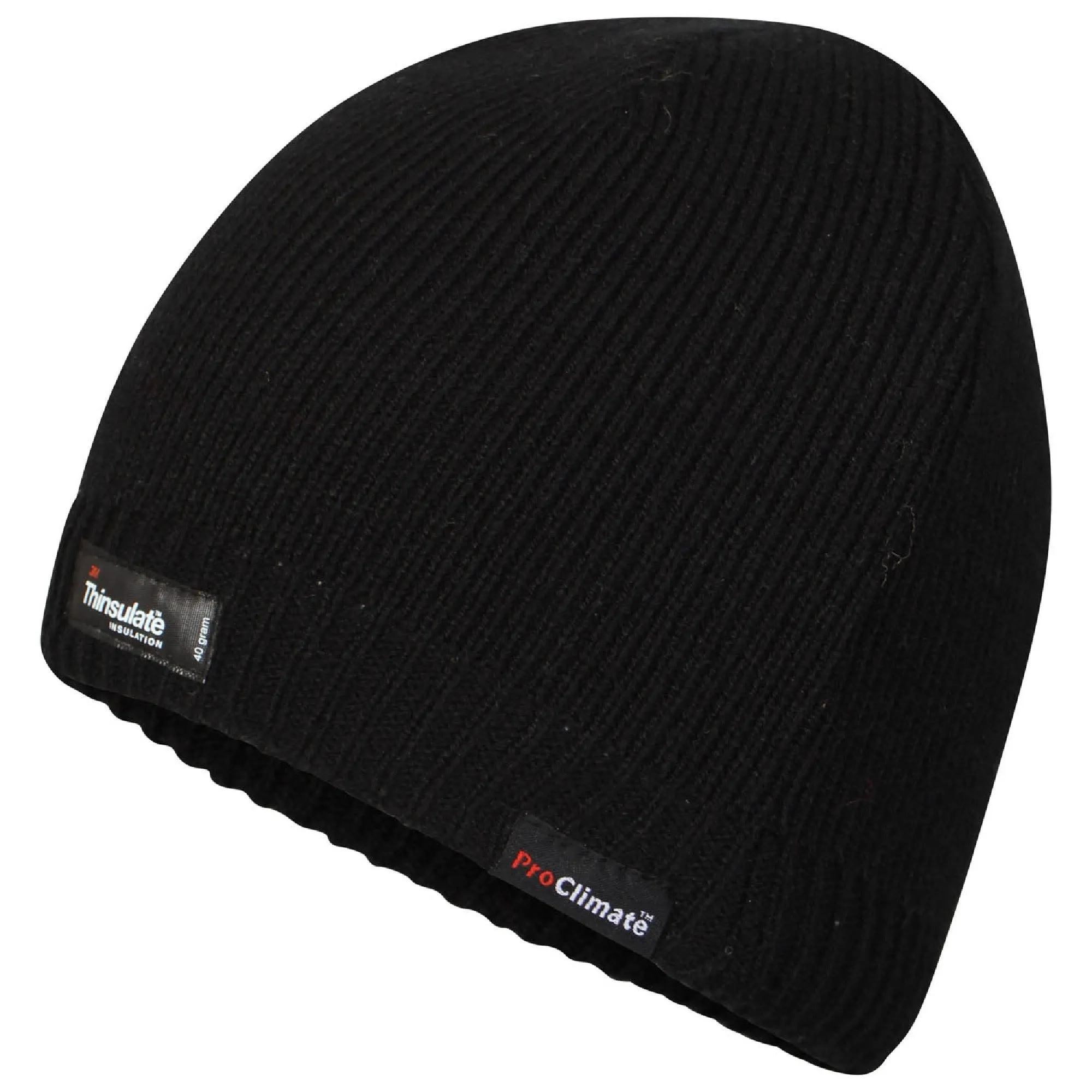 Cudmore Adult Thinsulate Hat