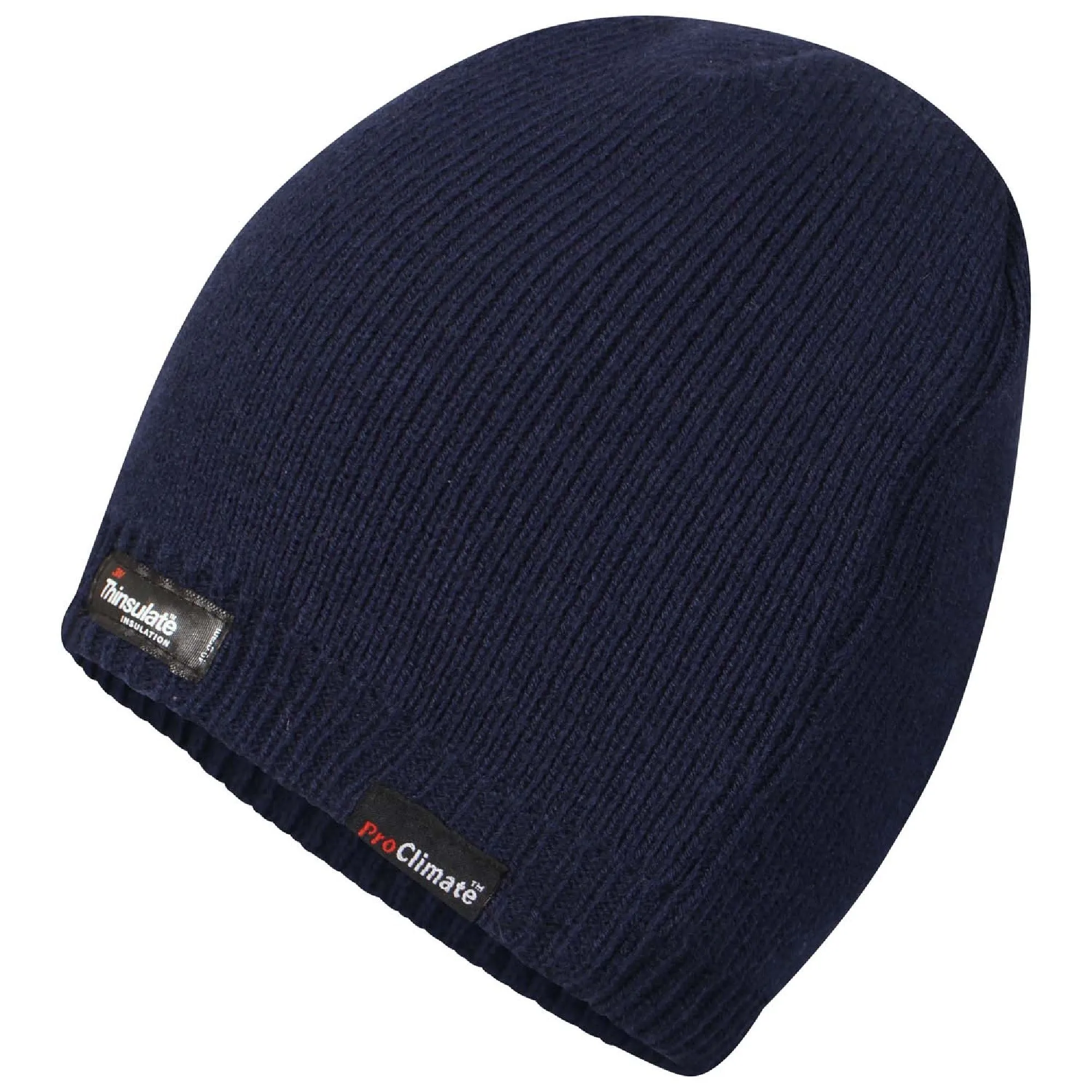 Cudmore Adult Thinsulate Hat