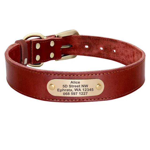 Custom Leather Dog Collar