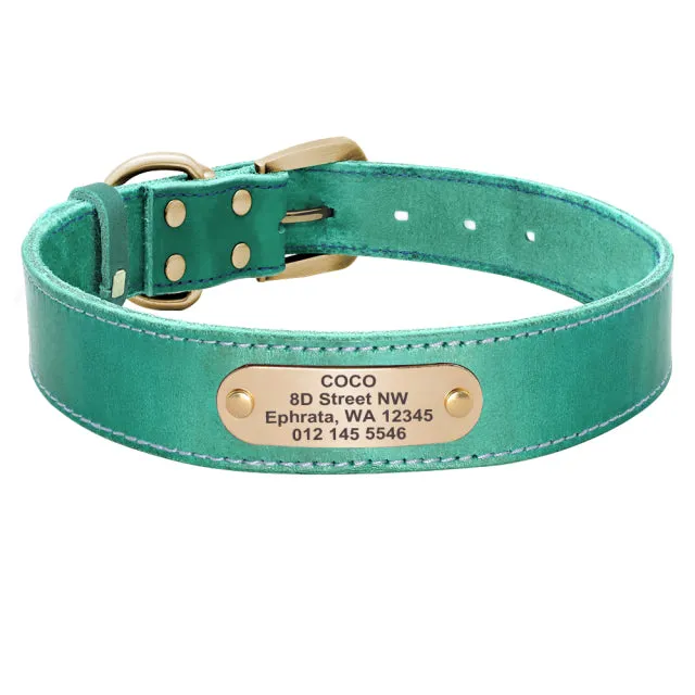 Custom Leather Dog Collar
