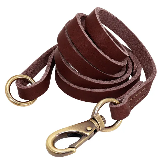 Custom Leather Dog Collar