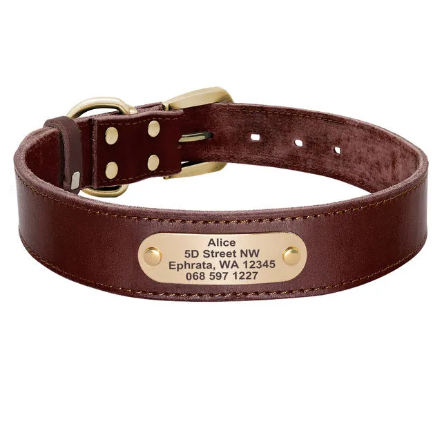 Custom Leather Dog Collar