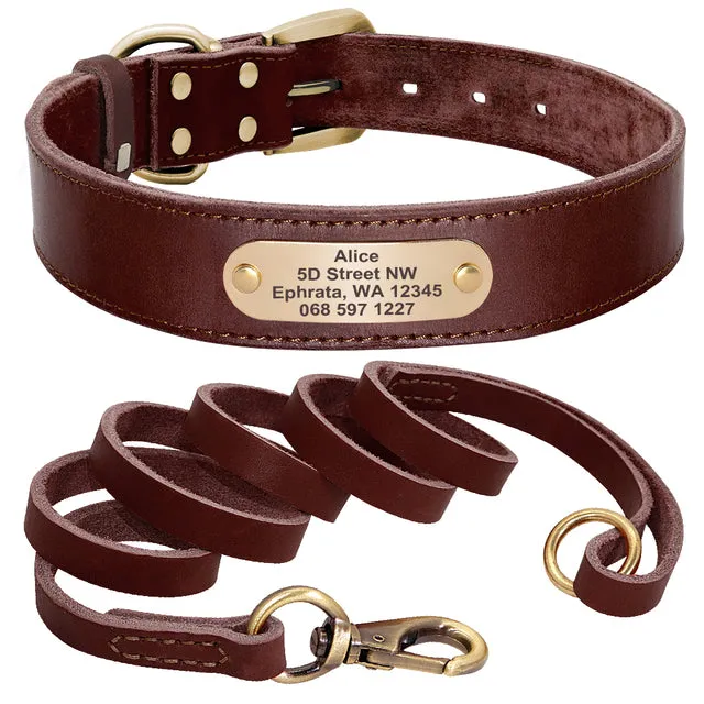 Custom Leather Dog Collar