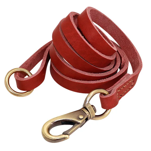 Custom Leather Dog Collar