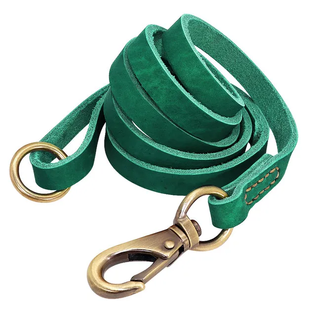 Custom Leather Dog Collar