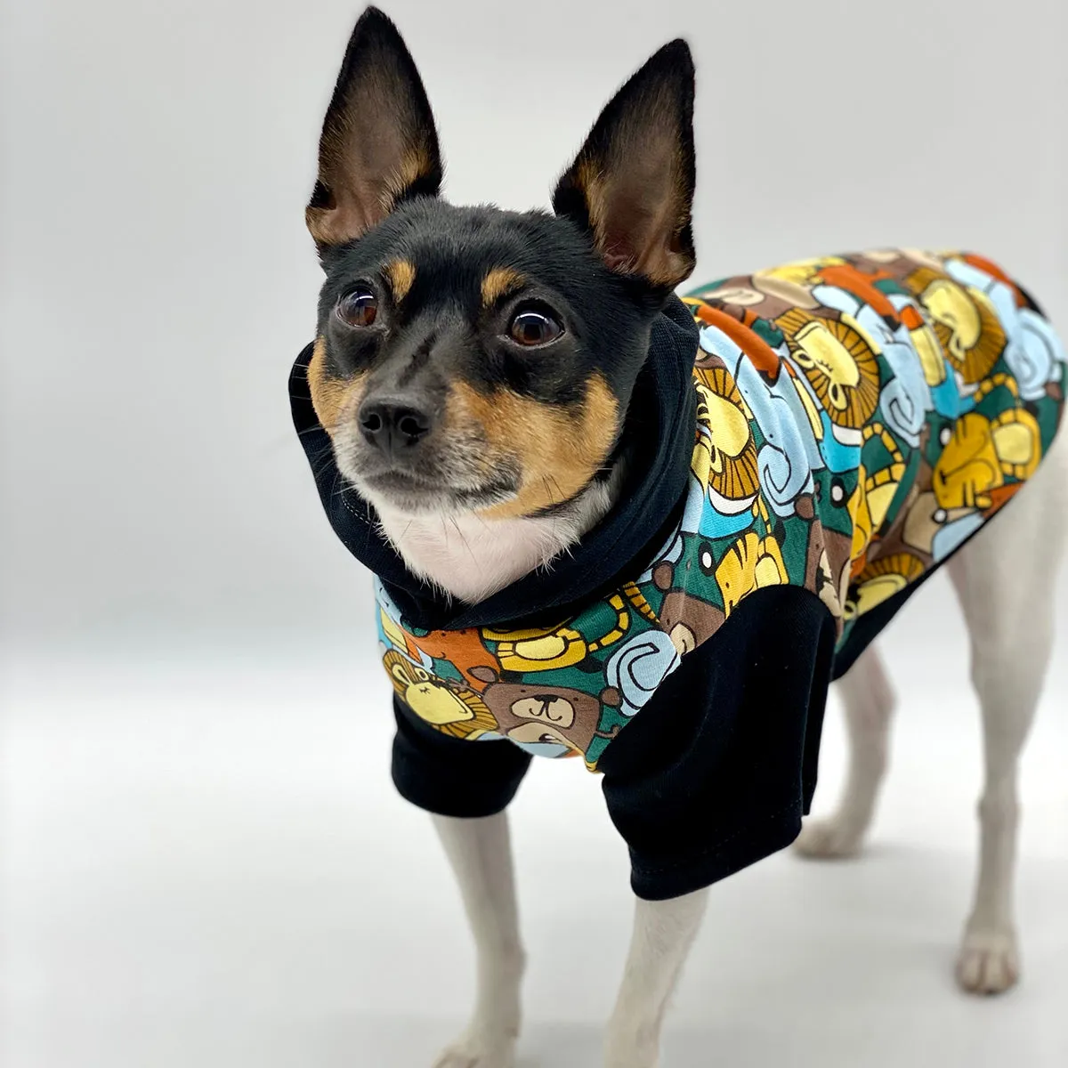 DCNY Day At The Zoo Hoodie - Limited Edition