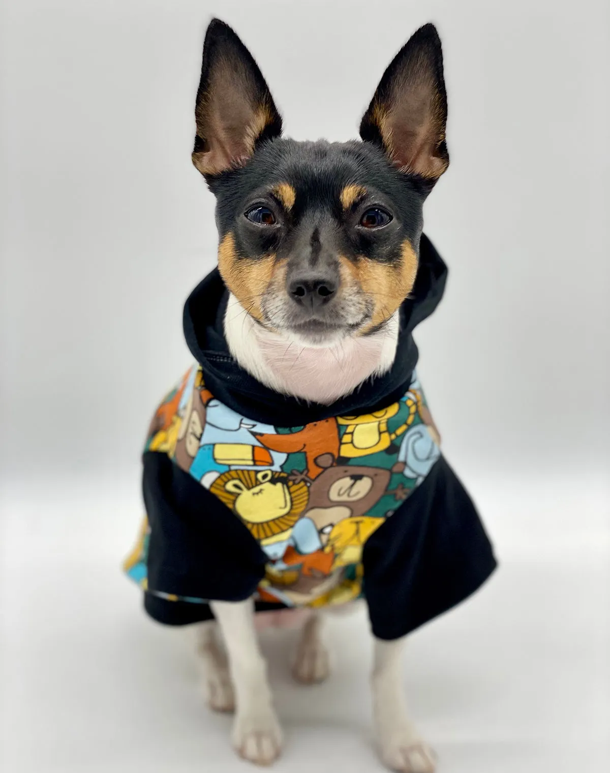 DCNY Day At The Zoo Hoodie - Limited Edition