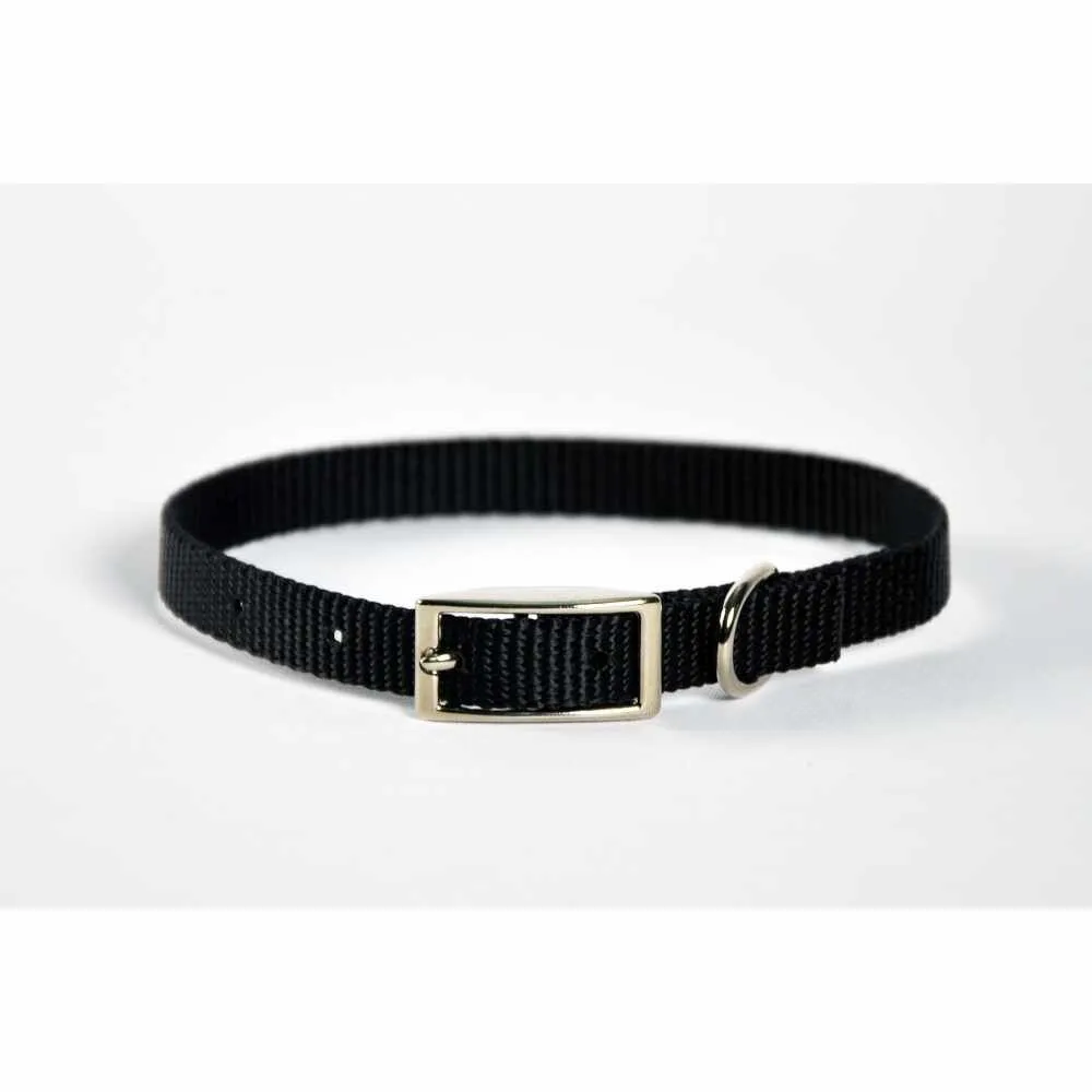 Dog Collar Skinny - 14" Blue