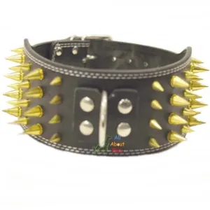 Dog Collar Spiked Black 3 Inch Wide