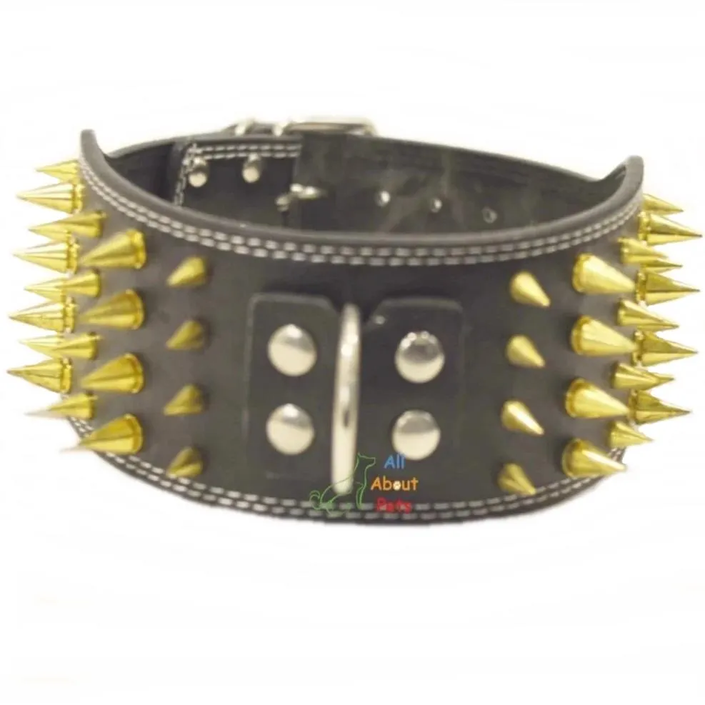 Dog Collar Spiked Black 3 Inch Wide