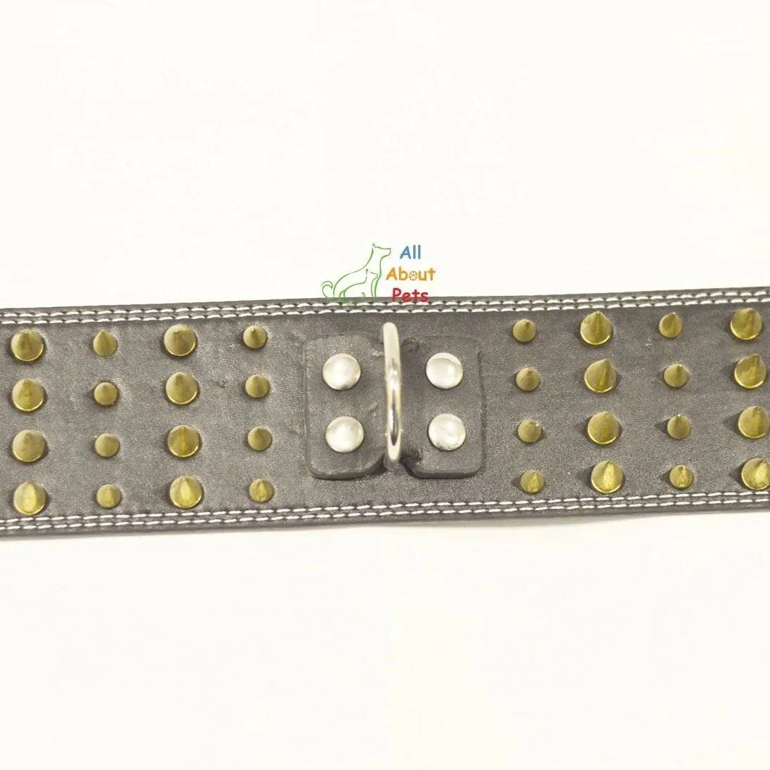 Dog Collar Spiked Black 3 Inch Wide