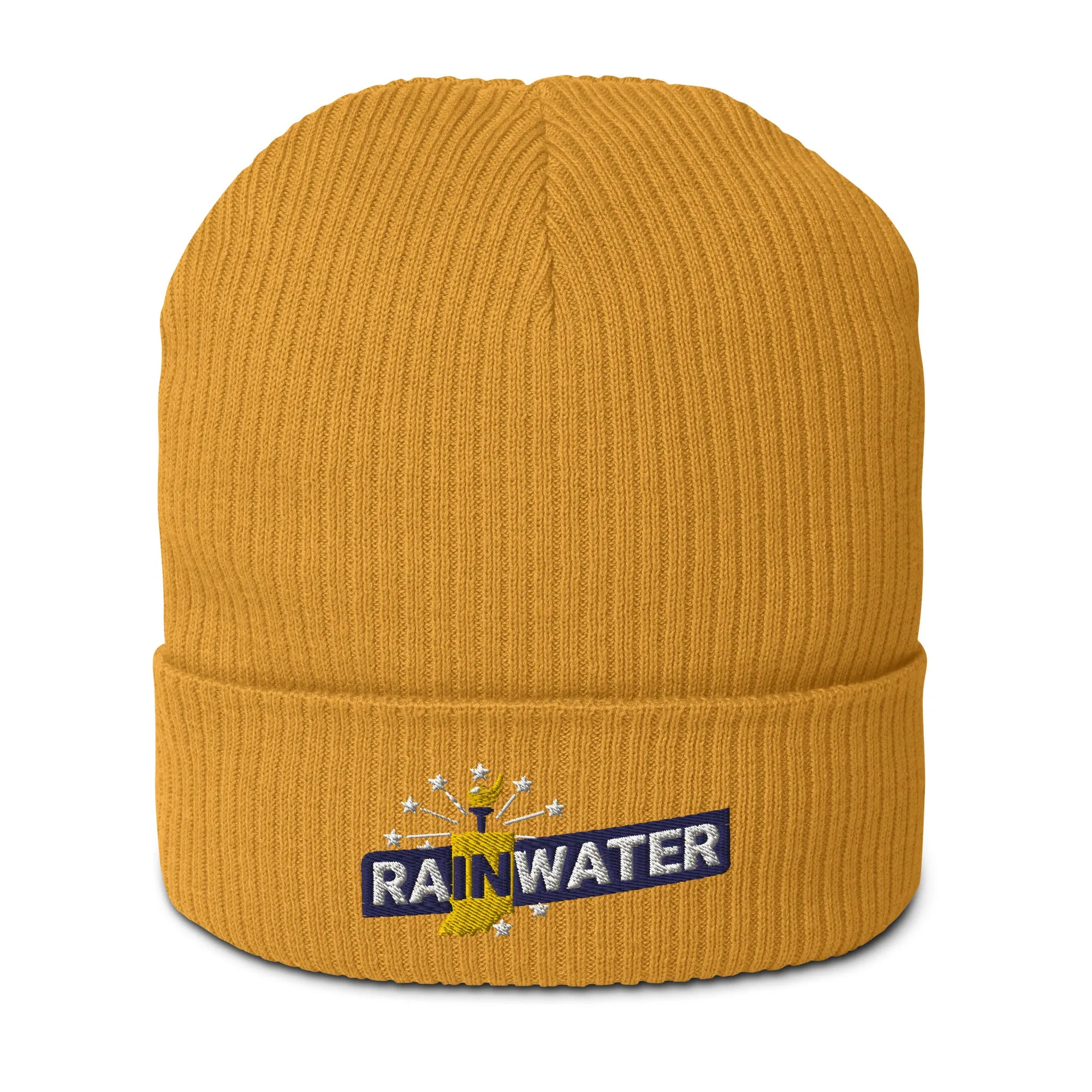 Donald Rainwater Organic ribbed beanie