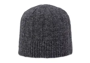 Men's Wagner Beanie