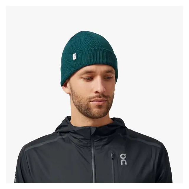 Merino Beanie