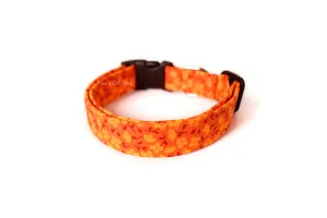 Orange Floral Dog Collar