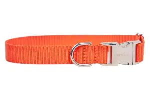 Orange Webbing Collar