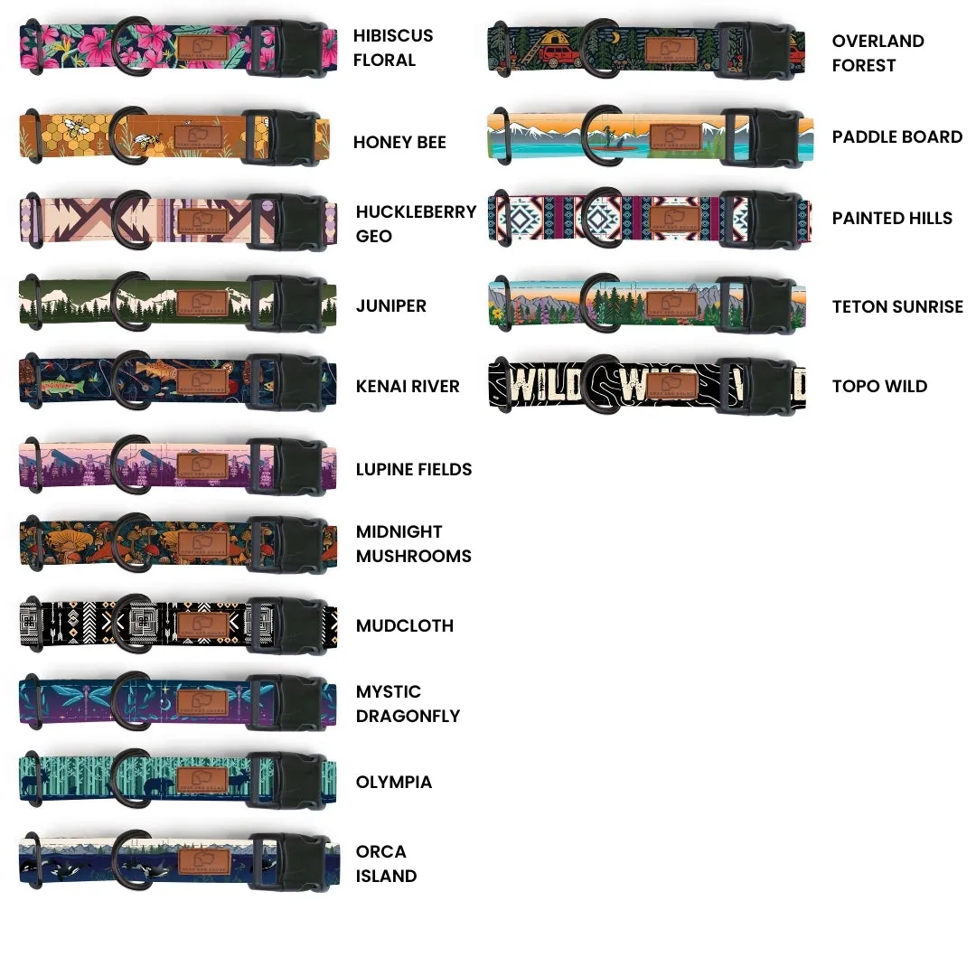 Plastic Buckle Dog Collar Three Pack (choose your designs)