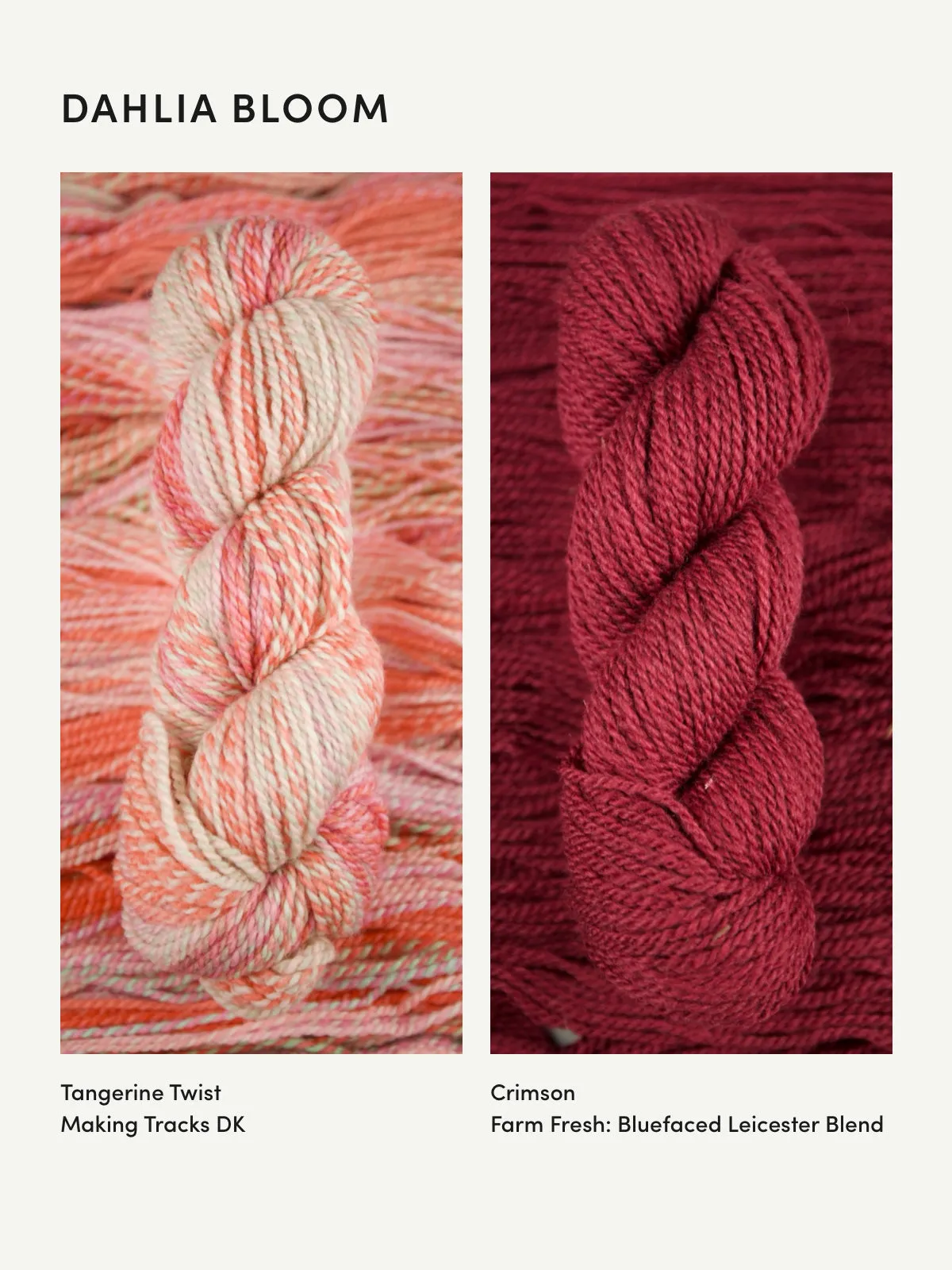 Pressed Flowers Pullover Bundle