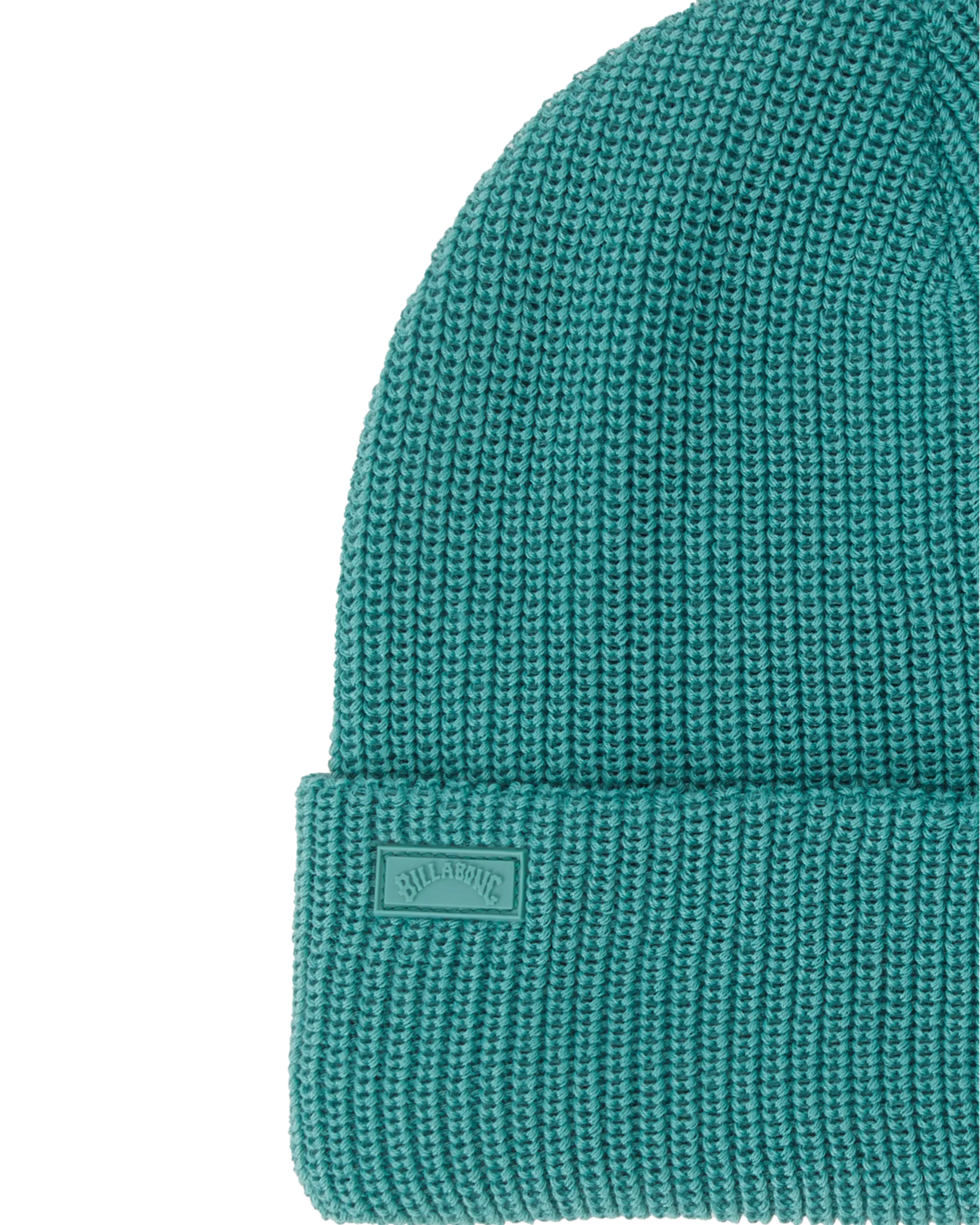 Roamer 3 Beanie in Pine