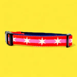 Six Point Star Dog Collar - Pink   Red