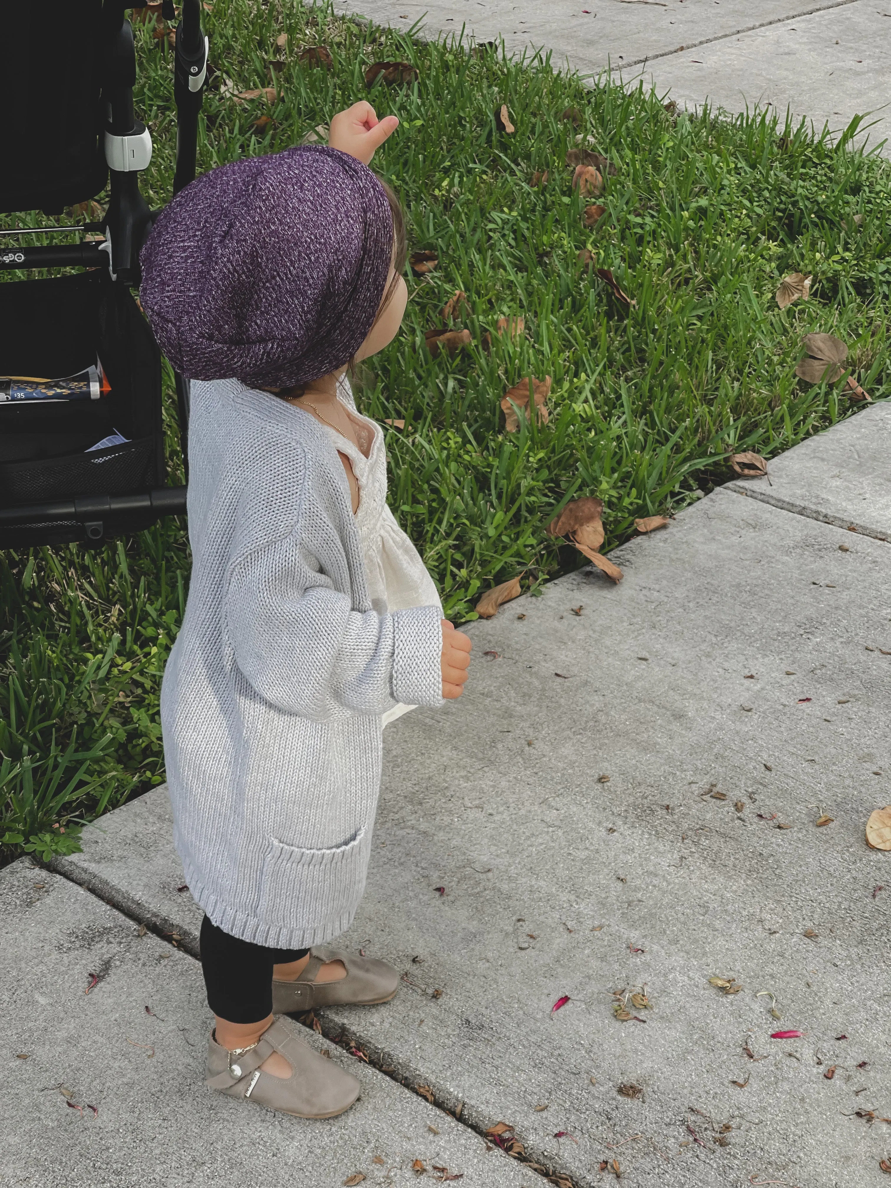 Snowdon Beanie