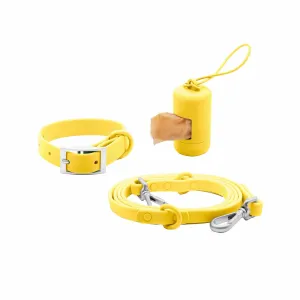 Sunbeam Gold Dog Collar Walk Set