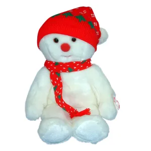 Ty Buddy: Snowboy