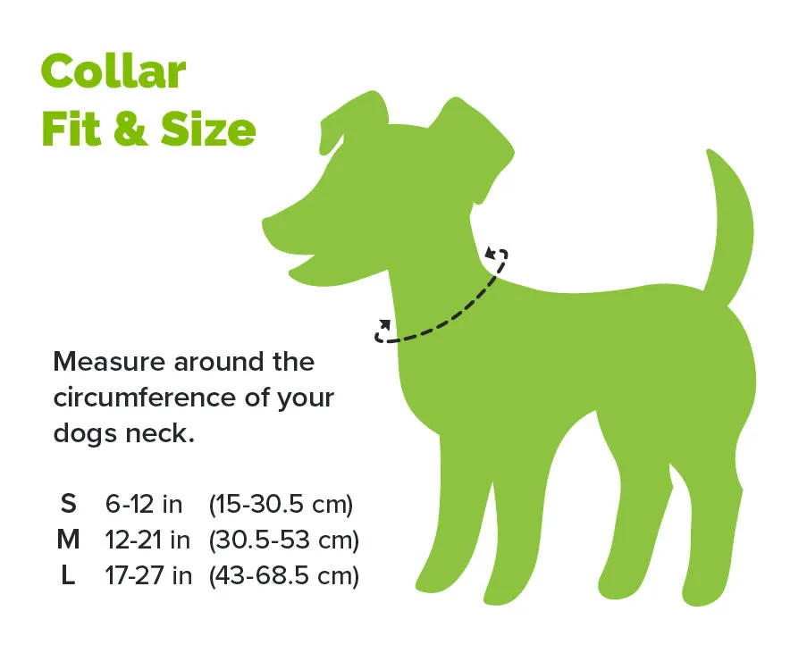 Waterproof no stink orange reflective collar